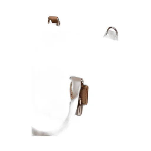 Amazona 23 Bag In Soft Grained Calfskin