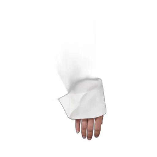 Silk Shirt