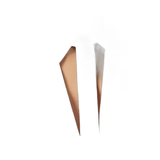 Elisabetta Franchi Cut-Out Shirt