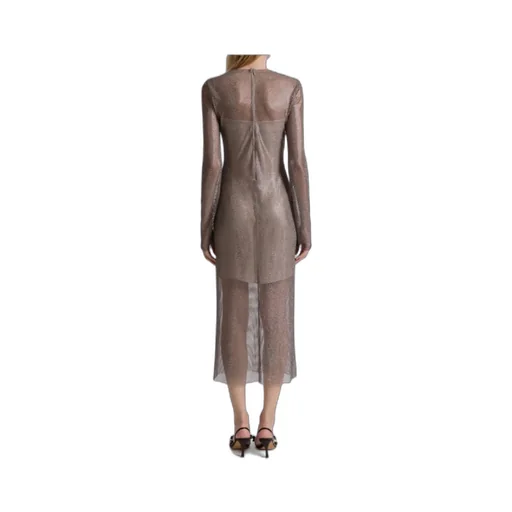 Alberta Ferretti Long Sleeved Net Midi Dress