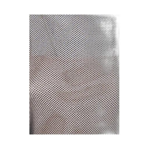 Alberta Ferretti Long Sleeved Net Midi Dress
