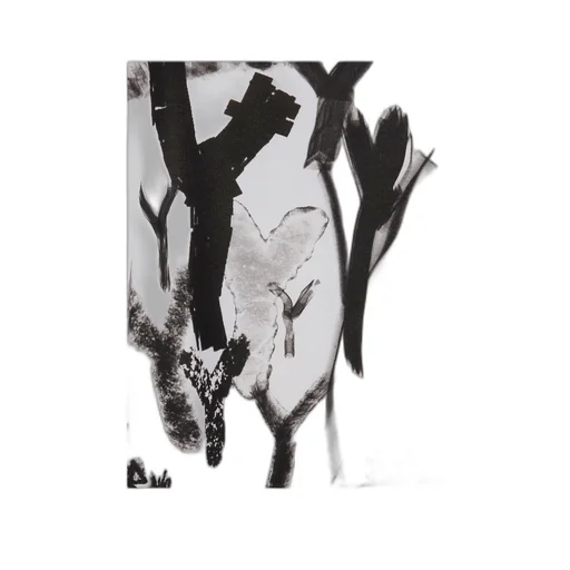 Cotton Print T-Shirt