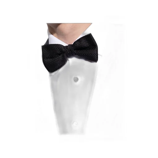 Givenchy Classic Bow Tie