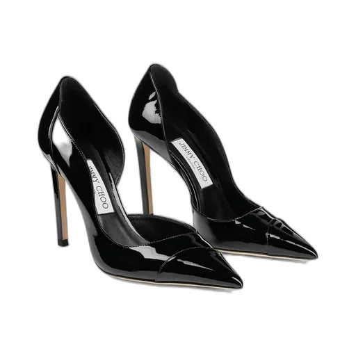 Brigitte 100Mm Pointed-Toe Pumps