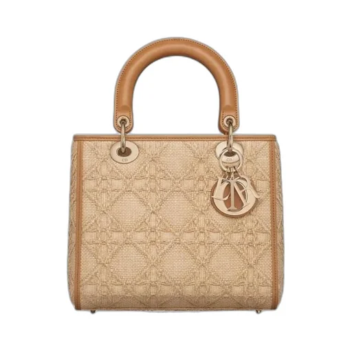 Christian Dior Logo Plaque Top Handle Bag