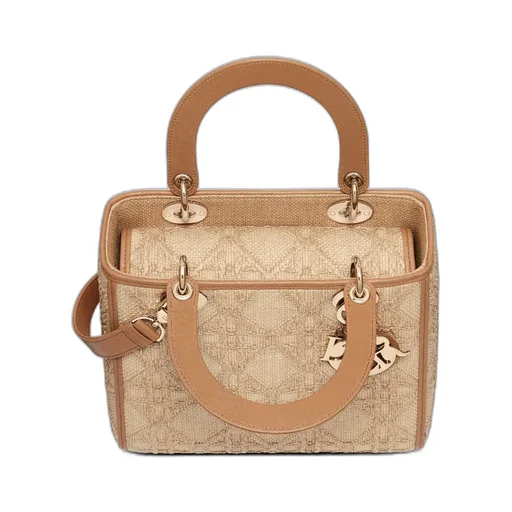 Christian Dior Logo Plaque Top Handle Bag