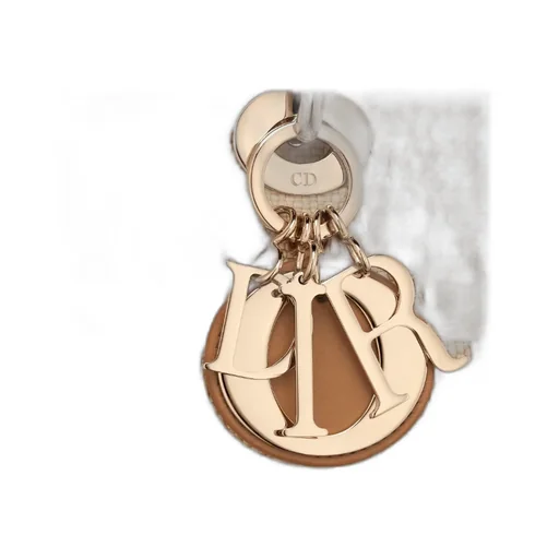 Christian Dior Logo Plaque Top Handle Bag