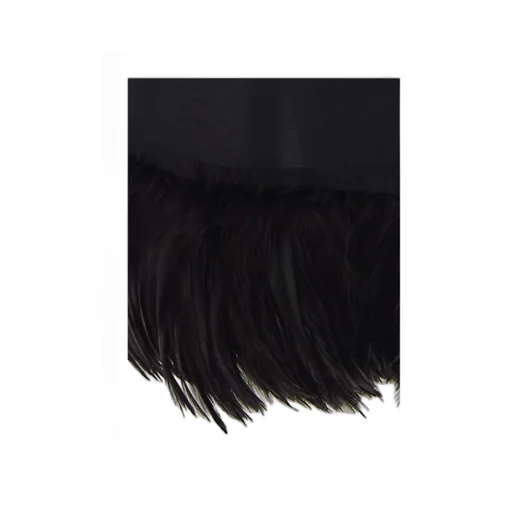 Long Skirt In Crepe Muslin And Feathers