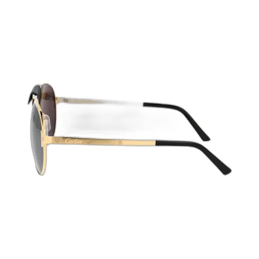 Aviator Sunglasses