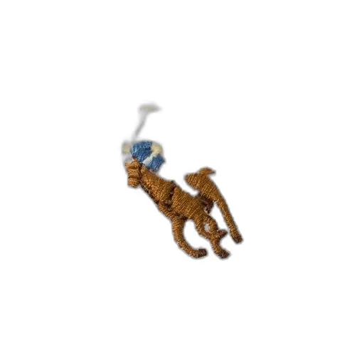 Polo Ralph Lauren Pony Embroidered Oxford Shirt
