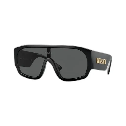 Versace Eyewear Oversized Frame Sunglasses