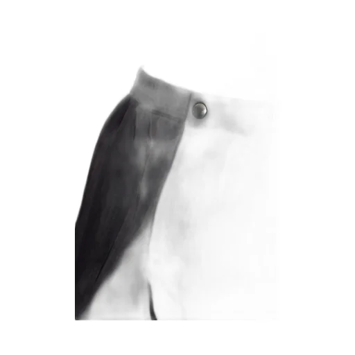 Bottega Veneta Buttoned Swim Shorts