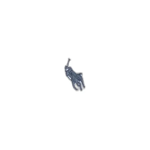 Polo Ralph Lauren Kids Logo Embroidered Zipped Hoodie