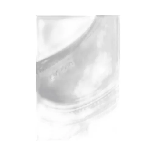 Amber Transparent-Design Shoulder Bag
