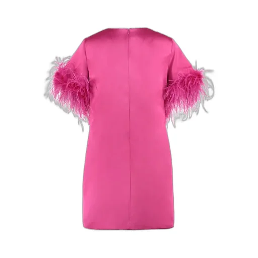 Feather Detail Dress