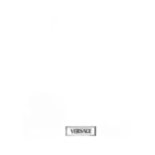Versace Logo-Patch V-Neck Bra