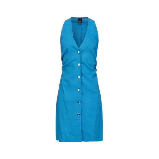 Pinko Buttoned V-Neck Minidress