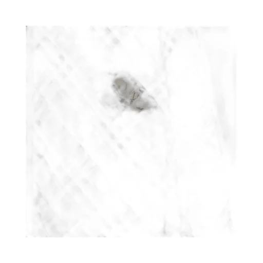 Equestrian Knight Burberry Check Hooded