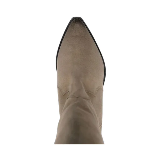 Isabel Marant Denvee Pointed-Toe Boots