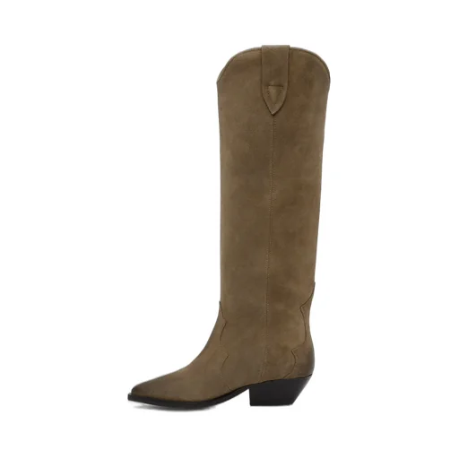 Isabel Marant Denvee Pointed-Toe Boots