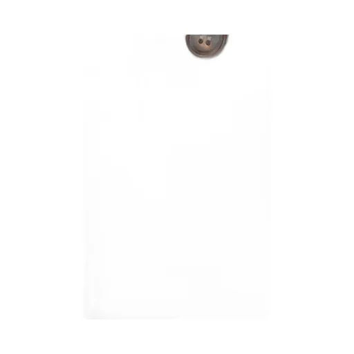 Brunello Cucinelli Monili Embellished Cigarette Trousers