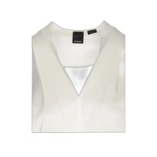 Pinko V-Neck Stretch Satin Blouse