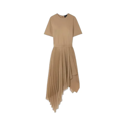 Asymmetrical Pleated Dress