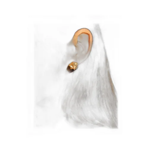 Maison Margiela Butterfly Fastened Stud Earrings
