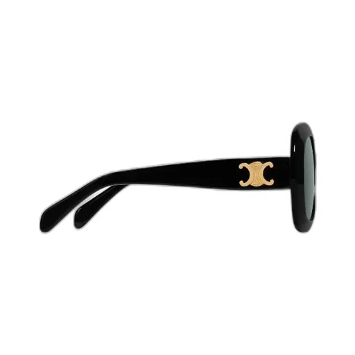 Triomphe 10 Sunglasses In Acetate