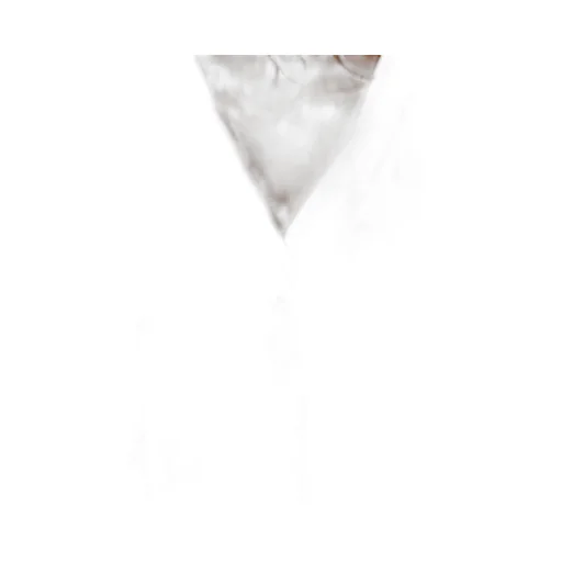 Abir Button-Down Short-Sleeved Shirt