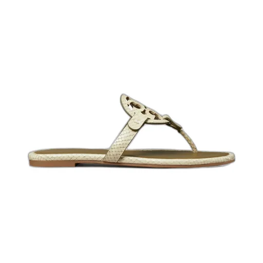 Flip-Flops