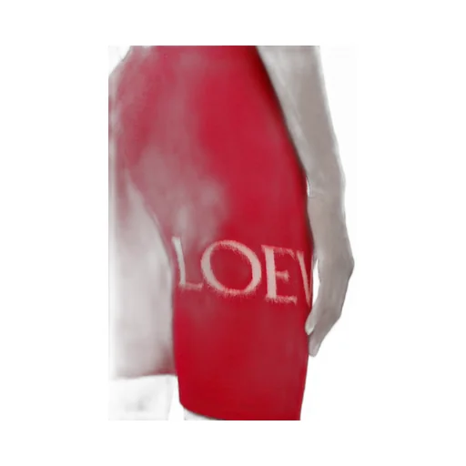 Loewe Cycling Shorts In Wool