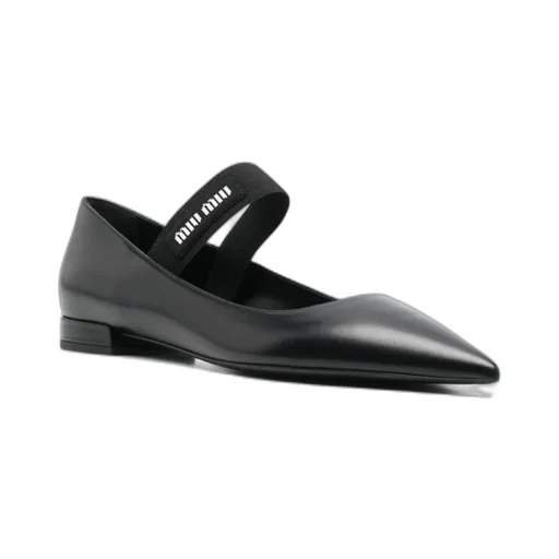 Pointed Flat Shoes