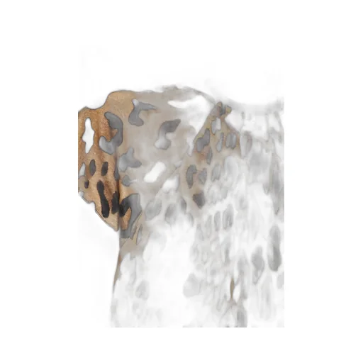 Balmain Leopard-Printed Crewneck Cropped T-Shirt