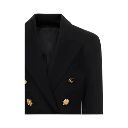 Logo Blazer