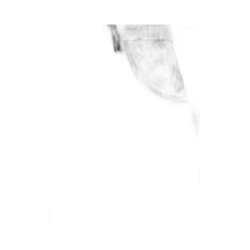Logo Jeans