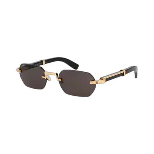 Cartier Rectangle Frame Sunglasses