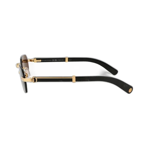Cartier Rectangle Frame Sunglasses