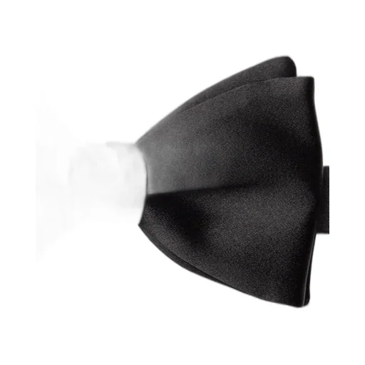 Ermenegildo Zegna Double Layer Bow Tie