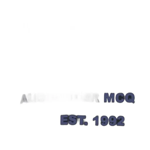 Alexander Mcqueen Graffiti Logo Printed Crewneck Sweatshirt