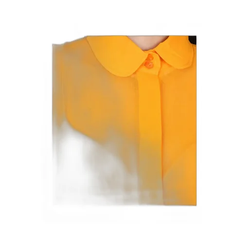 Patou Sheer Elegance Blouse