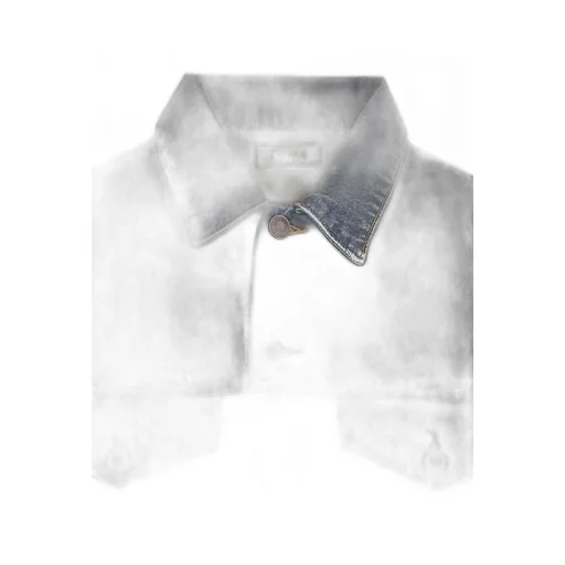 Agolde Stefano Buttoned Denim Jacket