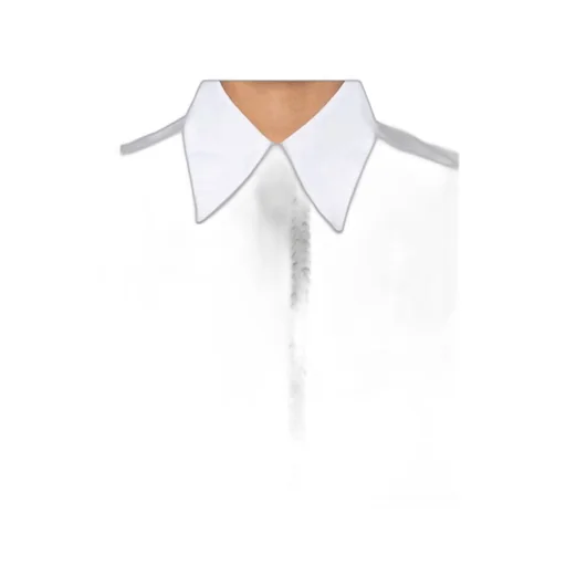 Long-Sleeved Shirt