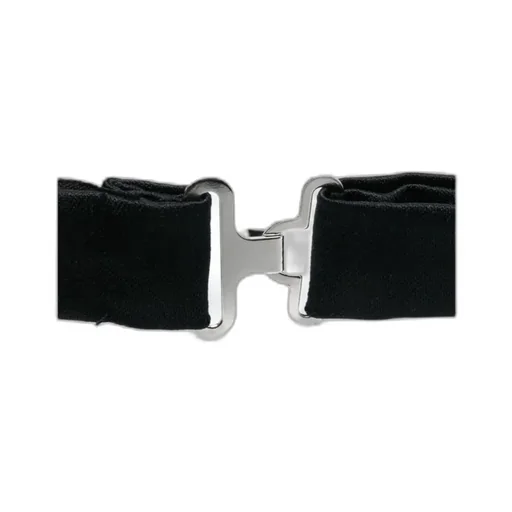 Papillon Bow Tie