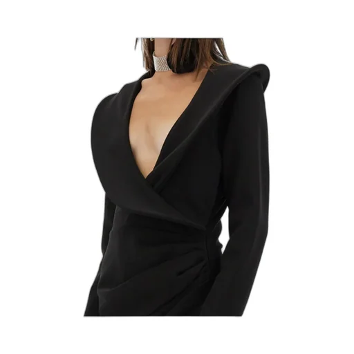 Magda Butrym Sculptural Long-Sleeved Dress