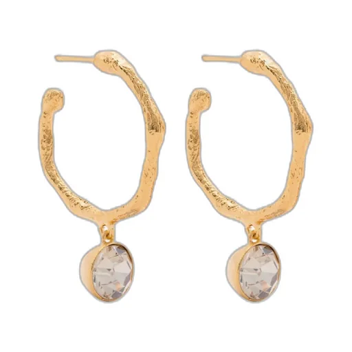 Pendant Earrings