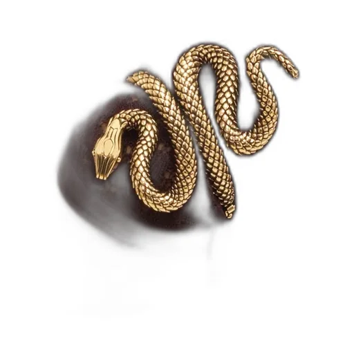 Chloé The Chloé Snake Bracelet