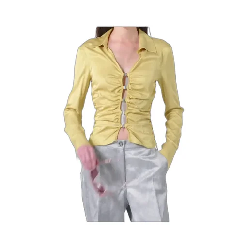 Pinko Shiny Blouse