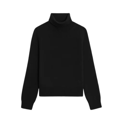 Turtleneck Sweater In Scottish Cashmere
