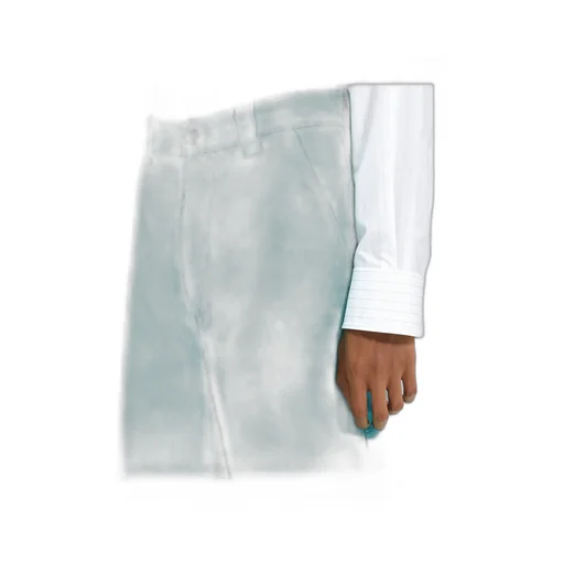 Cotton Canvas Shorts